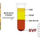 라온셀의원 이미지