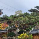 온채당 갓바위점 이미지