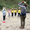 한전초등학교 이미지