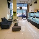 힐링퍼피 이미지