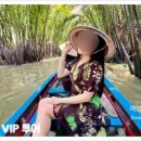 VIP투어
