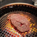 즐거운드라이세상 | 신사 맛집 우가 신사스퀘어, 예약, 주차 및 콜키지 후기(드라이에이징 한우에 반해버림)