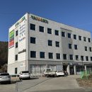 메디칼성심약국 이미지