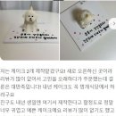 멍개식당 이미지