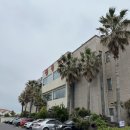제주대학교박물관 | 2026 제주 국제마라톤 후기 | 제주대 주차, 제주 공항 근처 사우나 추천