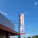 보령토굴새우젓옷빼미상회 - 보령시 광천로 39 | 보령토굴새우젓옷빼미상회