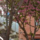 미학빌딩 앞 | 성수동데이트 블루보틀 후기: 왜 아직도 핫플일까? 주차, 메뉴 추천 총정리