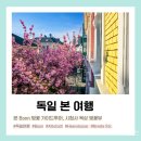 시청사 | 본 Bonn 벚꽃 이른 아침 가이드 투어 후기 (ft. 시청사 전망대, 독일 벚꽃 명소, 본 벚꽃 실시간 4/9)
