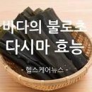 다시마 변비 효능 부작용 이미지