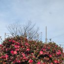 북항노을공원 이미지