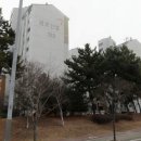 보스톤미치과의원 이미지