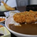 돈코지