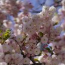 선흘1리 경로당 이미지