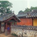 무출 | 서귀포 황우지 해변 가는길