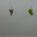 박원주 | 중얼거리는 사물들 전시 후기