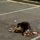 성민도서관 | [미국 CSUMB 파견] 마지막 달 12월 일상