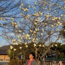 교동미술관 이미지