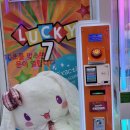 미니돌 강남 이미지