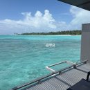 호근동 자연빌라앞(단) | 몰디브 알릴라코타이파루 워터 빌라 2박 숙박 후기(+비치빌라 비교)