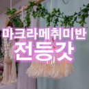 [백석]일상의 즐거움 「마크라메」 | 산본마크라메 취미반 힐링수업 매듭수업-전등갓 만들기