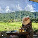 자연상회 이미지