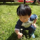 삼부농장 이미지