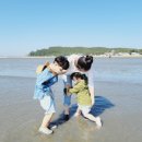 서하목장 Daum카페