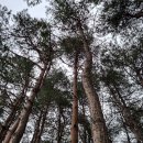 모전2리 | 해파랑길 37코스(안인해변-오독떼기전수회관)에 다녀오다.