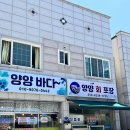 기사문항(회센터) | 양양 횟집 회 포장 양양바다 광어회 후기