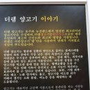 더램 - 송파구 위례성대로18길 28-12 | 더램