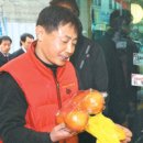 행복과일 Daum카페