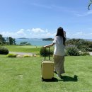 트래블폴더 | 트래블기어 폴더블 캐리어20인치 전면오픈캐리어