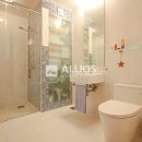 프리마 베라 이미지