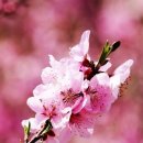 모닝세탁 이미지