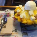 노블레스 스포츠센터 이미지