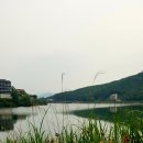 브레드포레