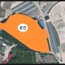 여주-1099 네이버블로그