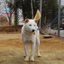 동부4리 이미지