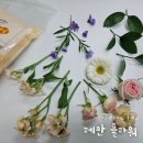 앤플라워공방 | [가든 앤 플라워] 첫 수업 후기🌿 -알찬 커리큘럼 및 '레칸 플라워' 만들기✨
