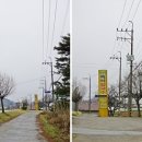 팔송정식당 네이버블로그