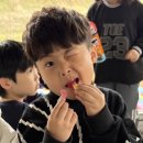 덕정농장 이미지