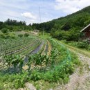 통나무밸리 이미지