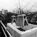 효자1동주민센터 이미지