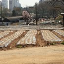 환영농장 이미지