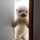 에스짐 휘트니스 이미지