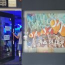 카스인대구