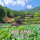 레미엣나 (주) 연꽃향기 | 아너드투어 함양 당일치기 여행 수선사 연꽃 국내 버스투어