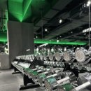 버핏그라운드 삼성 이미지