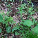 사재농장 이미지