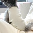 그루밍댕이